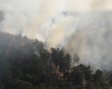 Слідом за Чорнобилем на Львівщині спалахнув ліс, масштаб трагедії показали одним відео