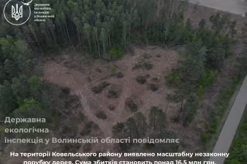 незаконна вирубка дерев