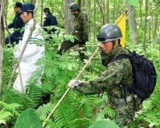 Поиски пропавшего японского мальчика увенчались успехом