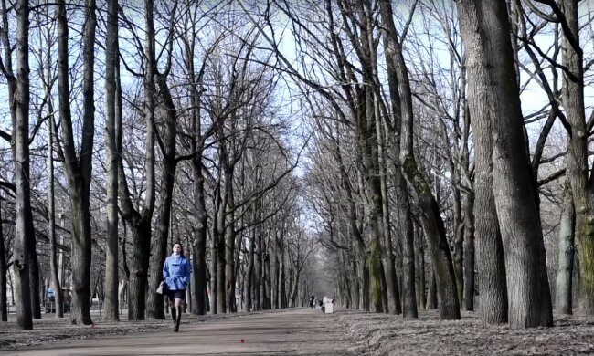 погода в Украине, скриншот из видео