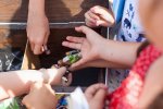 Львів'яни збирають гуртом використані батарейки та собачі відходи (фото)
