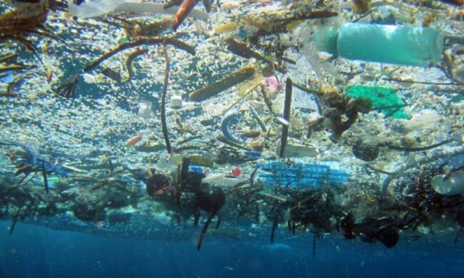 Ученые решили органическую проблему утилизации пластика