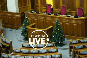 Елки в Верховной Раде, фото: НовиниLive