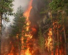 Масштабна пожежа на Луганщині знищила 22 будівлі