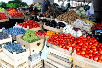 "Российским властям безразлично, что их народ скоро будет пухнуть от голода" - эксперт