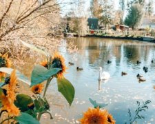 Пекло до +38: скільки триватиме бабине літо в Україні