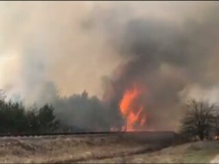 пожежа в Чорнобилі, скріншот з відео