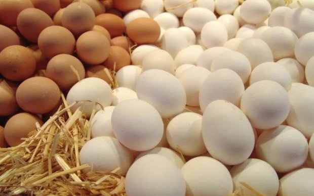Користь яєць для дітей: що потрібно знати