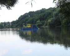 Вонь на всю Винницу: люди восстали против тотального свинства, "жить невозможно"