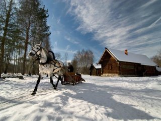 в Карпатах