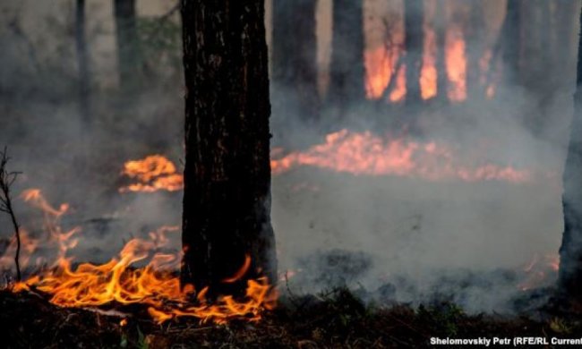  Прикарпатцев предупреждают об угрозе лесных пожаров