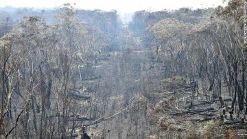 Пожежі в Австралії, фото: cnn.com