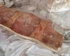 Контрабандисты везли в Россию 20 тонн нашего сала (фото)