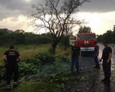 На Закарпатті 6 тисячам будинків знесло дах
