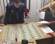 Фискальная служба ликвидировала конвертационный центр с оборотом в $3 млрд (фото)