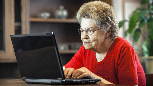 Невнимательность может стоить половины пенсии: как изменить данные о страховом стаже через интернет