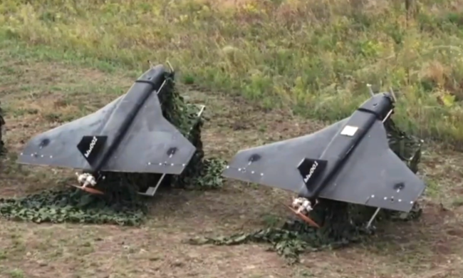 БПЛА "Гербера". Фото: скрин youtube