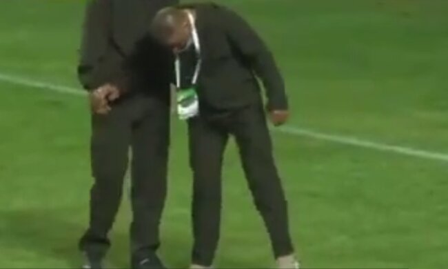 Змея на футбольном поле, кадр из видео