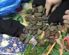 СБУ затримала митника за «кришування» контрабанди бурштину (відео)