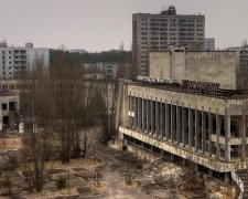 Чернобыль превратится в биосферный заповедник