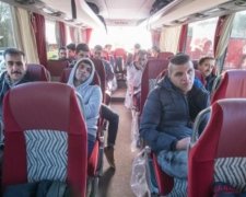 Німецький політик відправив автобус з біженцями особисто Меркель