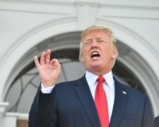 Канули у небуття? Чим займаються екс-президенти