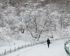 Погода 29 декабря: Ивано-Франковск окажется в белом плену метелей и гололеда