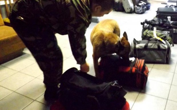 Служебный пес обнаружил на львовском вокзале брошенные боеприпасы