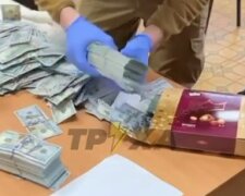 У колишнього голови Чернігівської обласної ВЛК під час обшуків знайшли 1 млн доларів. Фото:Telegram