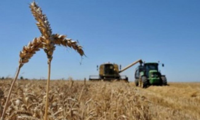 Україна нарощуватиме експорт до ЄС сільськогосподарської продукції 