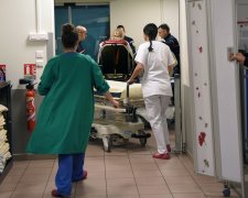 Роковая встреча: на Львовщине смертоносное существо "обозначило" женщину и ребенка, врачи делают все возможное
