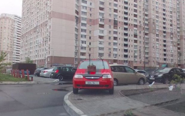 Разъяренные киевляне "припарковали" автохаму на машину клумбу