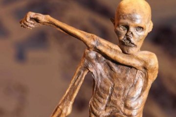 Яка гидота: вчені відтворили раціон стародавньої людини