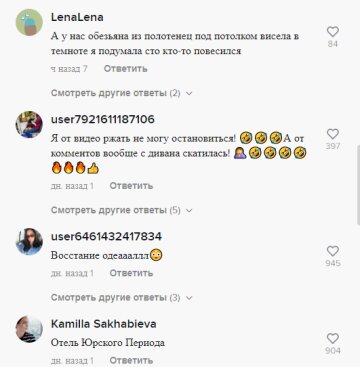 Комментарии, скриншот: TikTok ("Лебеди" в отелях)