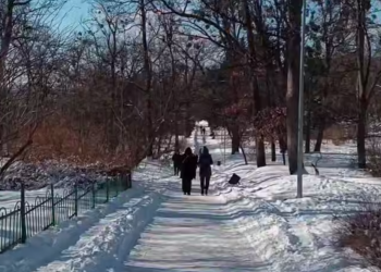 Українці, зима, кадр з відео