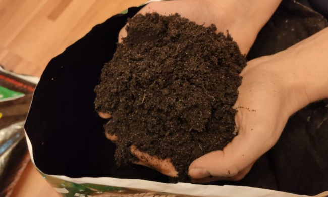 Ґрунт, город, зображення з вільних джерел