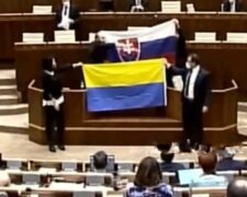 Парламент в Словакии, фото: скриншот из видео