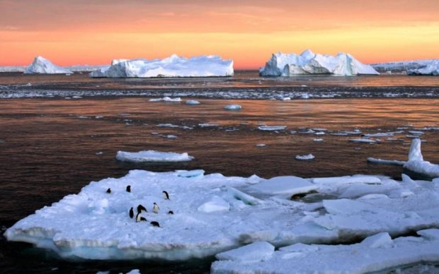 Смерть Антарктиди поставила вчених на вуха