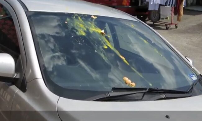 Разбитое яйцо на лобовом стекле: фото скрин Ютуб