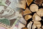 Одноразовая денежная помощь украинцам
