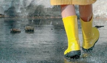 Украинцам прогнозируют тепло и дожди на выходных  
