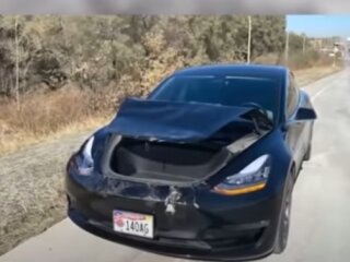 Tesla Model 3, скриншот