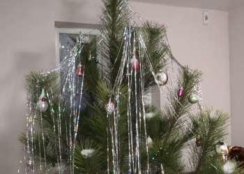 Новогодняя елка, изображение из соцсетей