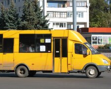 Сумкой в лицо, кулаком в спину: одичалые киевлянки устроили жесткие бои в маршрутке, скандальное видео