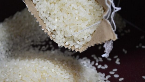 Рис, крупа - фото со свободных источников