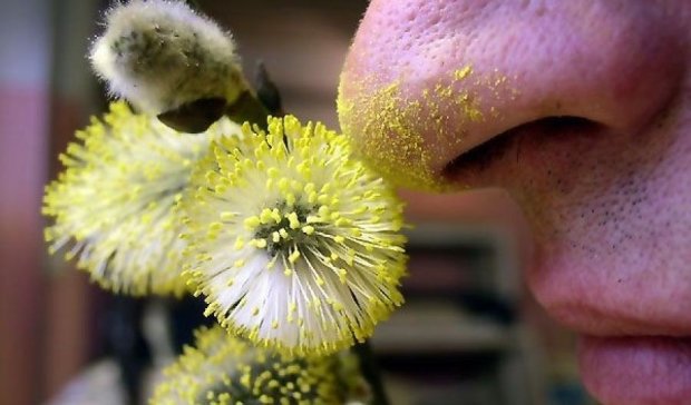 Аллергия на пыльцу вызывает изменения мозга