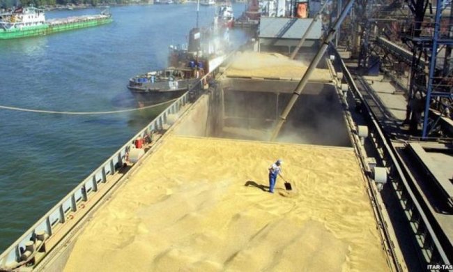 Украина заняла третье место среди лидеров экспорта зерна