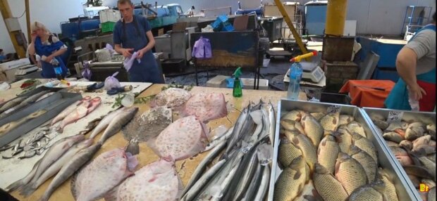 На курортах під Запоріжжям туристам згодовують золоту рибку - "800 за кілограм"