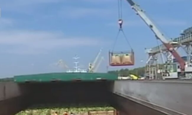 Скрин, видео YouTube