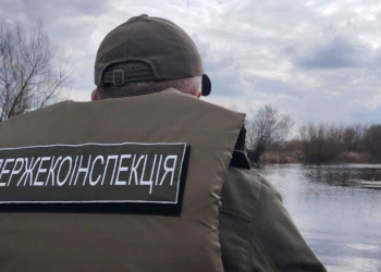 Держекоінспекція